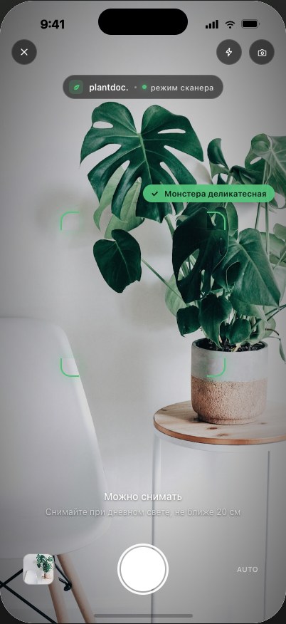 FloriZen camera screen scanning a houseplant leaf.